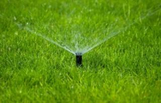 Watering Schedule